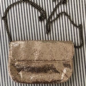 J.Crew clutch/cross body purse